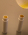 Leppepomade 7